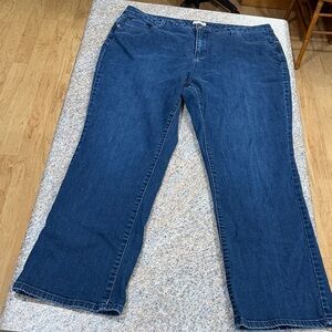 Cold water Creek Classic Blue Women's Jeans size 18